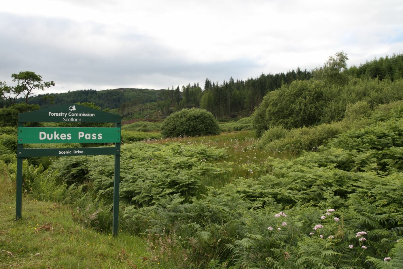 La Scozia occidentale fra Lowlands e Highlands - Parco Naturale delle Trossach