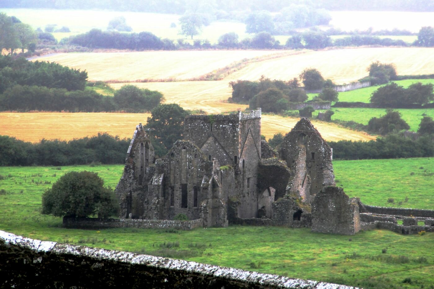 Alla scoperta dell'Irlanda meridionale - Cashel -  Rovine della Hore Abbey